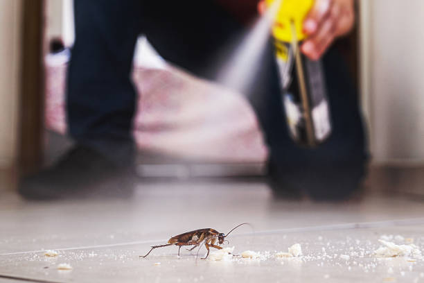 Best Pest Prevention Services  in Elida, OH